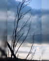 macezayuri Altpins Profile Picture
