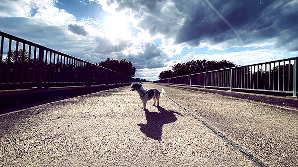 macezayuri instagram image archive image