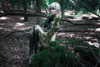 macezayuri Altpins Profile Picture