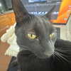 madelineargy Altpins Profile Picture