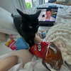 madelineargy Altpins Profile Picture