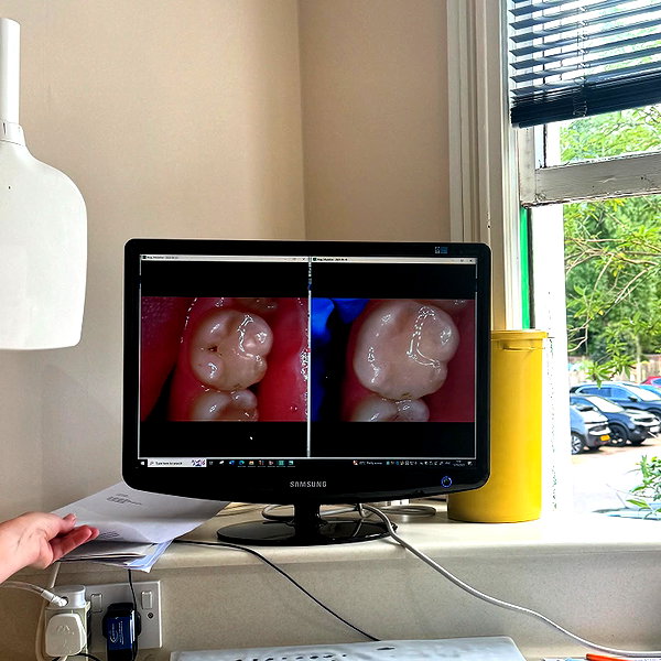 madelineargy instagram image archive image