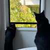 madelineargy Altpins Profile Picture