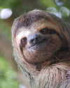 madelinemonet Altpins Profile Picture