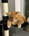 magg0tfleshh Altpins Profile Picture