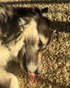 magg0tfleshh Altpins Profile Picture