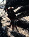 magg0tfleshh Altpins Profile Picture