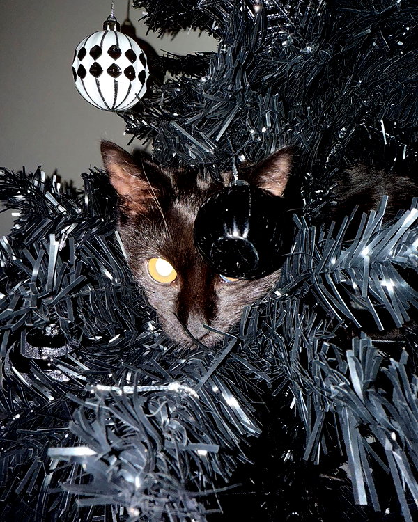 magg0tfleshh instagram image archive image