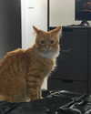 magg0tfleshh Altpins Profile Picture