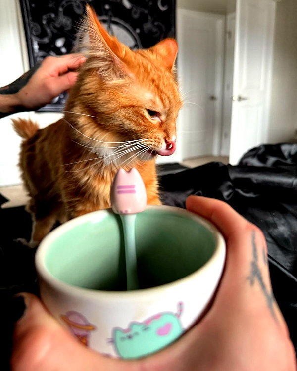 magg0tfleshh instagram image archive image