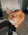 magg0tfleshh Altpins Profile Picture