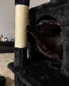 magg0tfleshh Altpins Profile Picture
