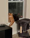 magg0tfleshh Altpins Profile Picture