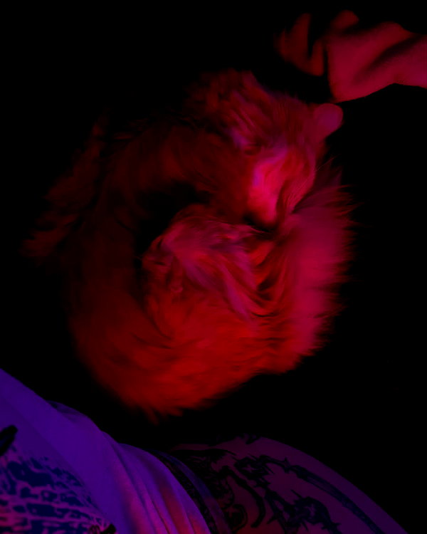 magg0tfleshh instagram image archive image