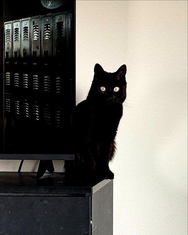 magg0tfleshh instagram image archive image