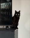 magg0tfleshh Altpins Profile Picture