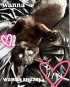 magg0tfleshh Altpins Profile Picture