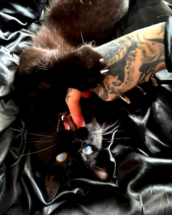 magg0tfleshh instagram image archive image