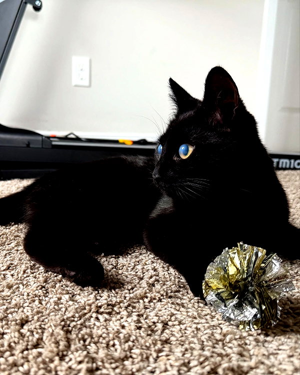 magg0tfleshh instagram image archive image