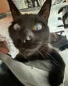 magg0tfleshh Altpins Profile Picture