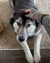 magg0tfleshh Altpins Profile Picture