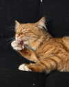 magg0tfleshh Altpins Profile Picture