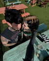 magg0tfleshh Altpins Profile Picture