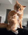 magg0tfleshh Altpins Profile Picture