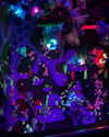 magg0tfleshh Altpins Profile Picture