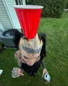 magg0tfleshh Altpins Profile Picture