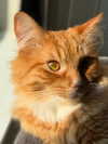 magg0tfleshh Altpins Profile Picture