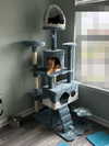 magg0tfleshh Altpins Profile Picture