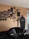 magg0tfleshh Altpins Profile Picture
