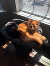 magg0tfleshh Altpins Profile Picture