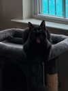 magg0tfleshh Altpins Profile Picture