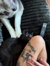magg0tfleshh Altpins Profile Picture
