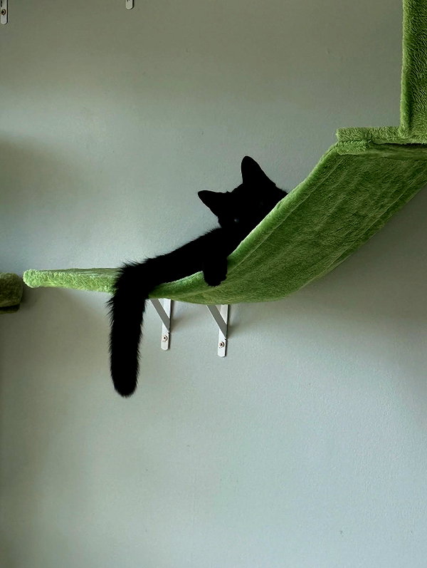 magg0tfleshh instagram image archive image