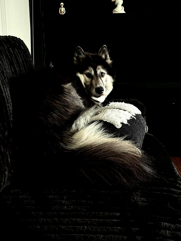 magg0tfleshh instagram image archive image