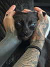 magg0tfleshh Altpins Profile Picture