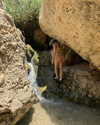 mai_glazer Altpins Profile Picture