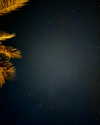 mai_glazer Altpins Profile Picture