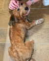 mai_glazer Altpins Profile Picture
