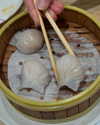 mai_glazer Altpins Profile Picture