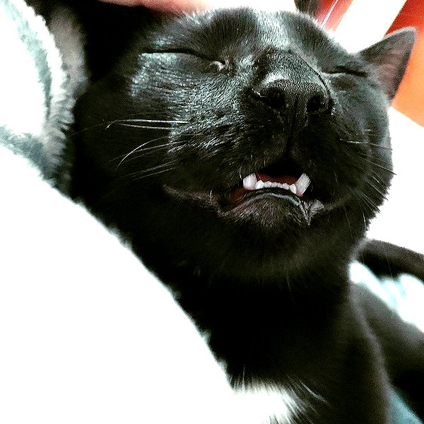 maimynyan instagram image archive image