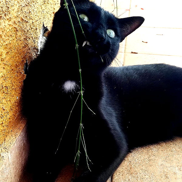 maimynyan instagram image archive image