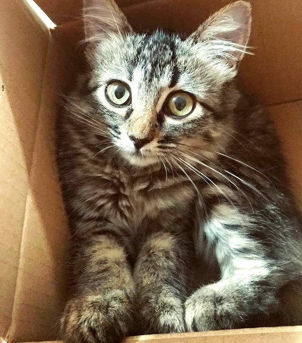 maimynyan instagram image archive image