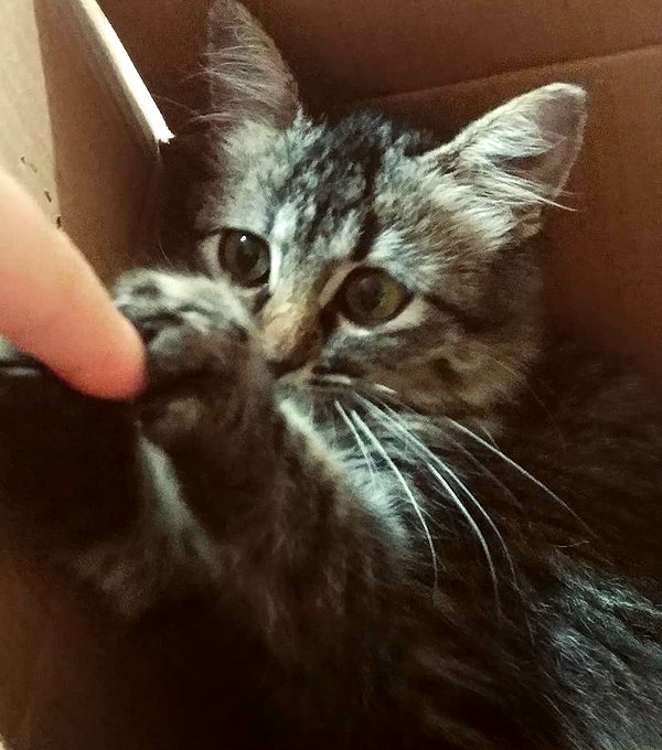 maimynyan instagram image archive image