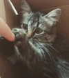 maimynyan Altpins Profile Picture