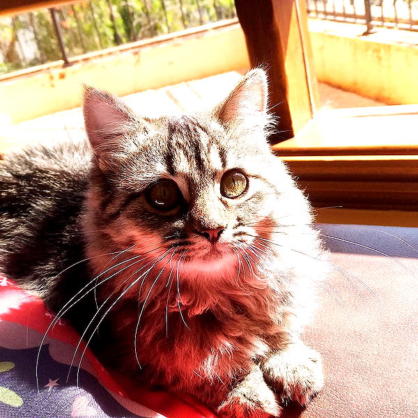 maimynyan instagram image archive image