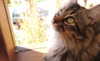 maimynyan Altpins Profile Picture